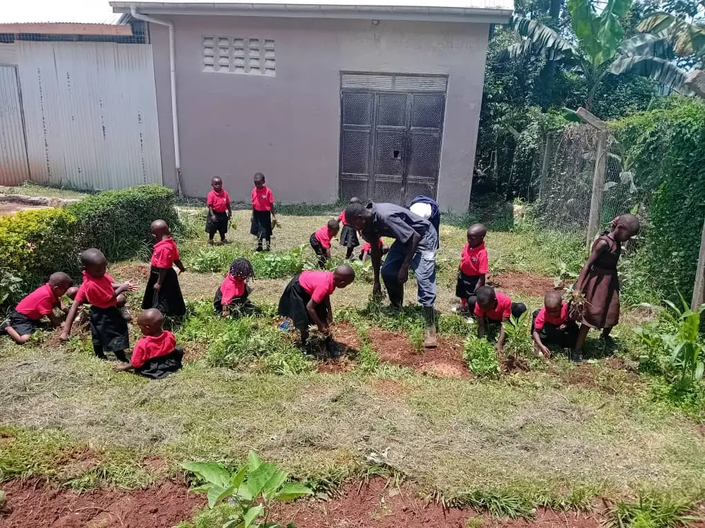 Bridge School activity