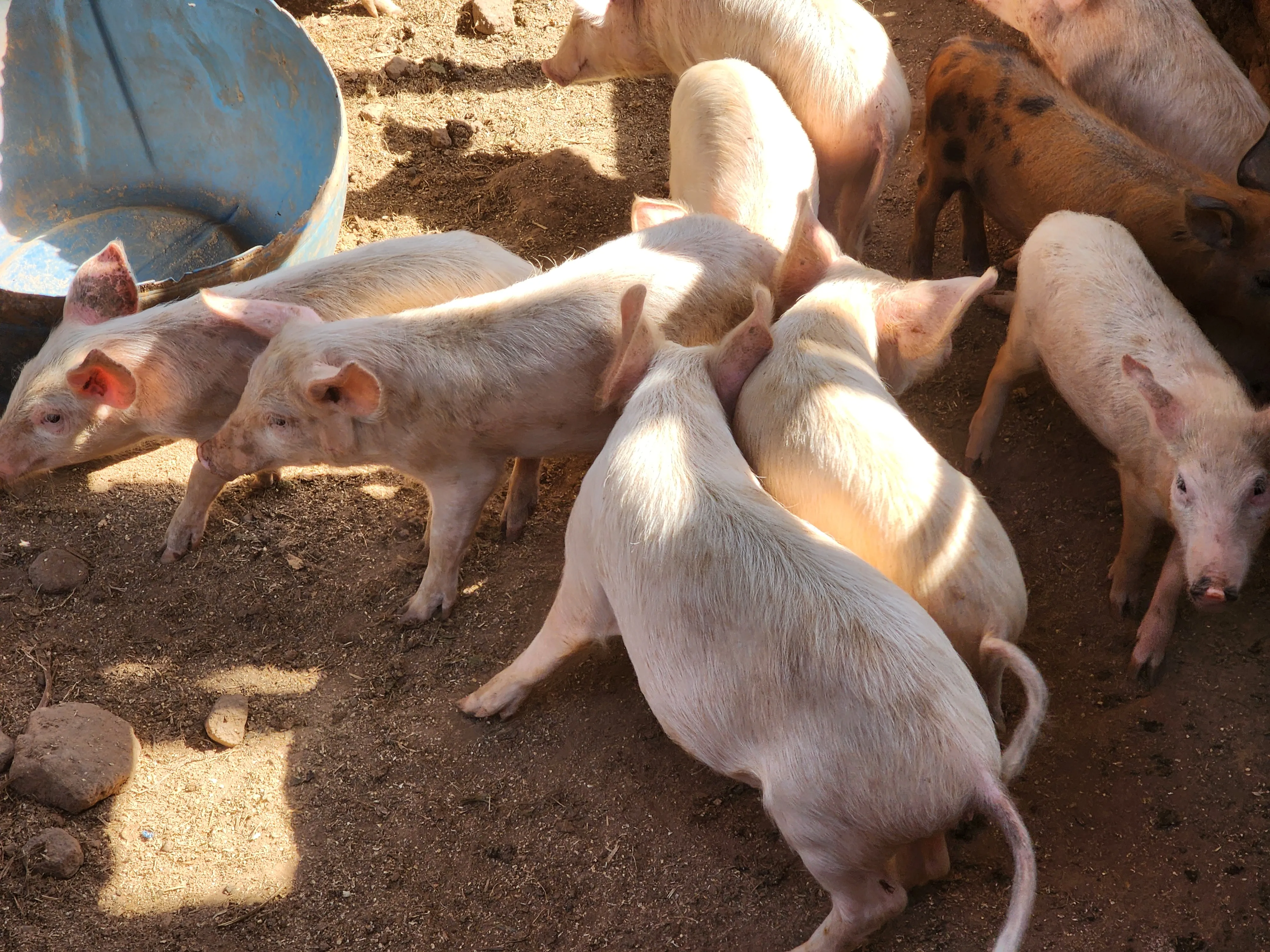 Economic empowerment activity